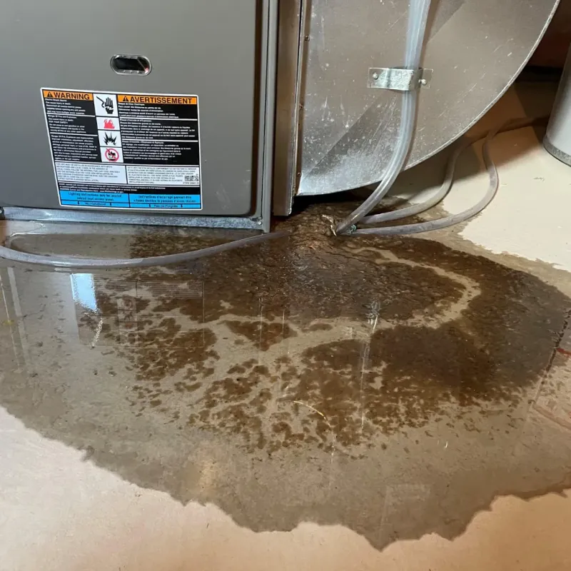 Appliance Leak Cleanup in Muscoy, CA